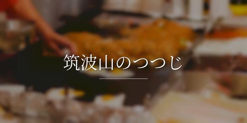 筑波山のつつじ