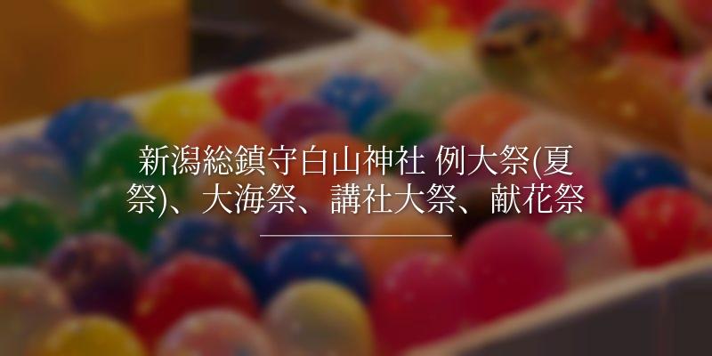 新潟総鎮守白山神社 例大祭(夏祭)、大海祭、講社大祭、献花祭