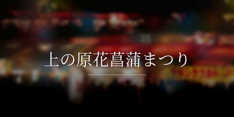 上の原花菖蒲まつり