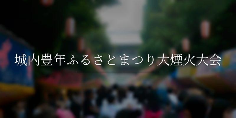 城内豊年ふるさとまつり大煙火大会