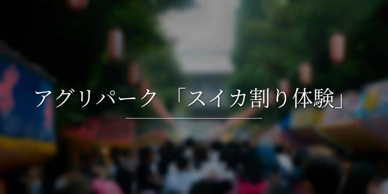 アグリパーク 「スイカ割り体験」
