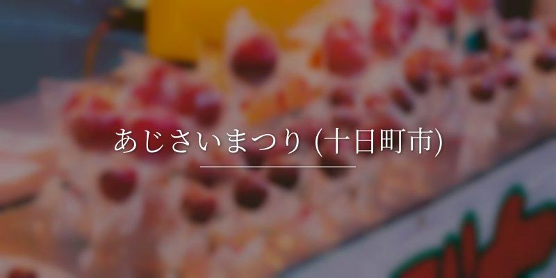 あじさいまつり (十日町市)