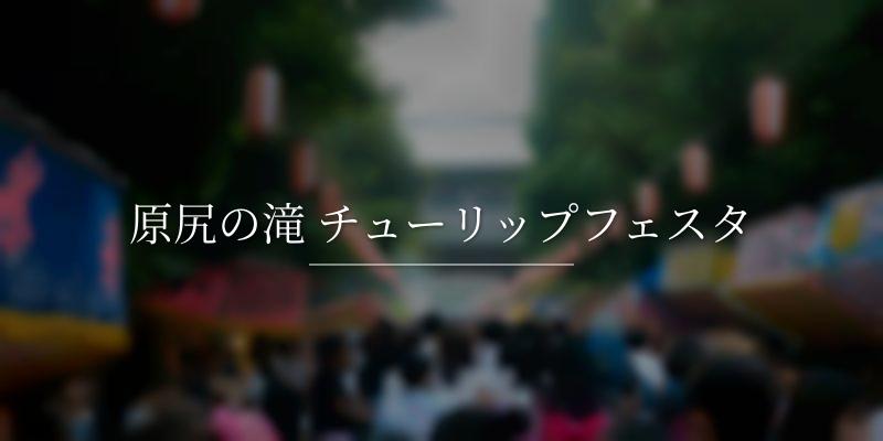 原尻の滝 チューリップフェスタ 