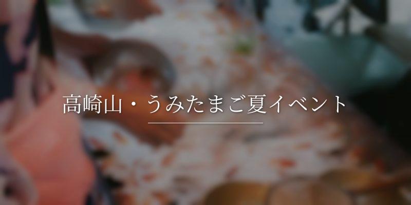 高崎山・うみたまご夏イベント