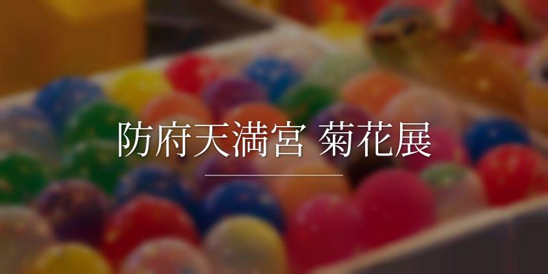 防府天満宮 菊花展