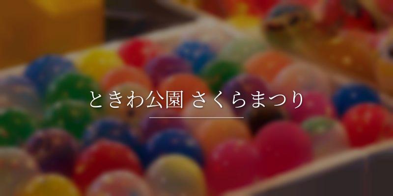 ときわ公園 さくらまつり