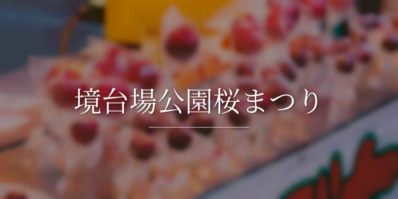 境台場公園桜まつり