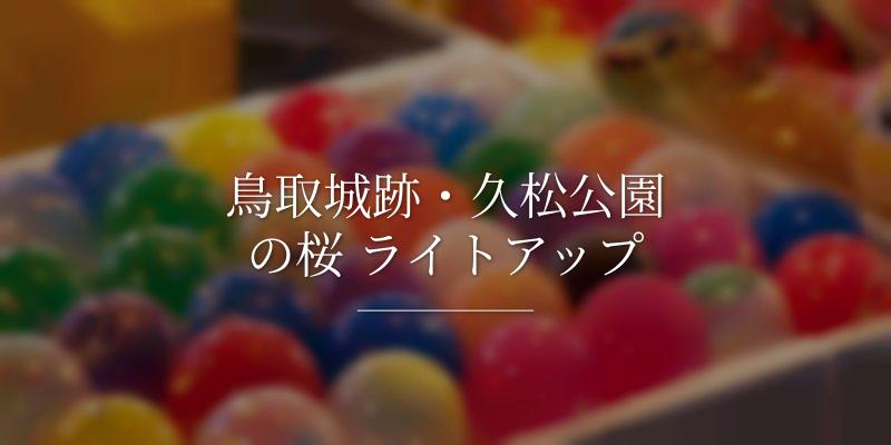 鳥取城跡・久松公園の桜 ライトアップ