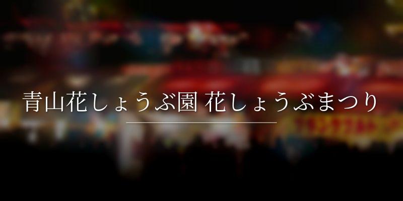 青山花しょうぶ園 花しょうぶまつり