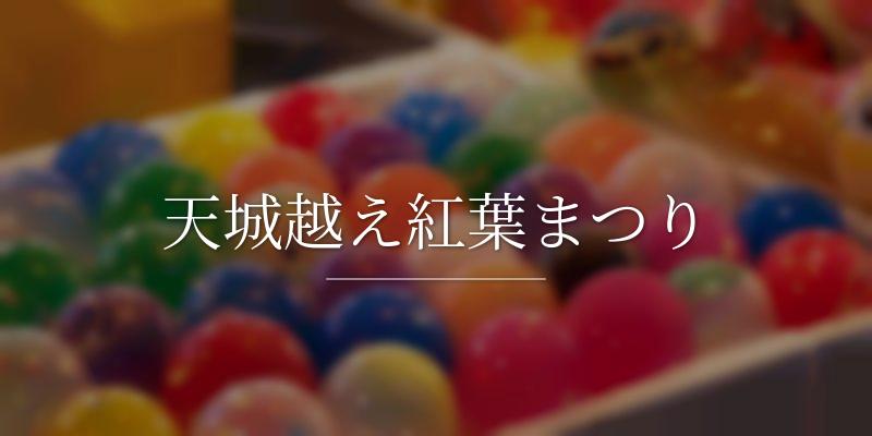 天城越え紅葉まつり