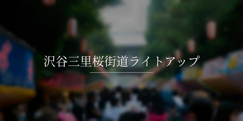 沢谷三里桜街道ライトアップ	