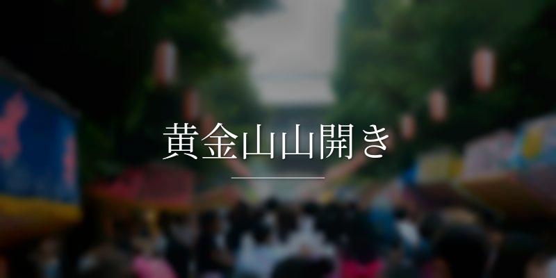 黄金山山開き