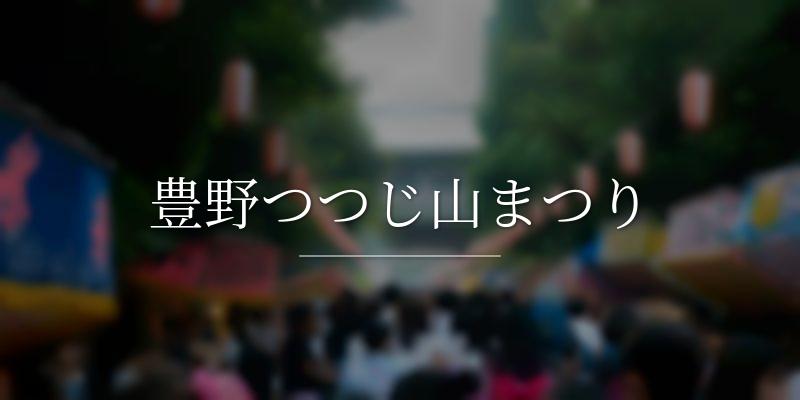 豊野つつじ山まつり