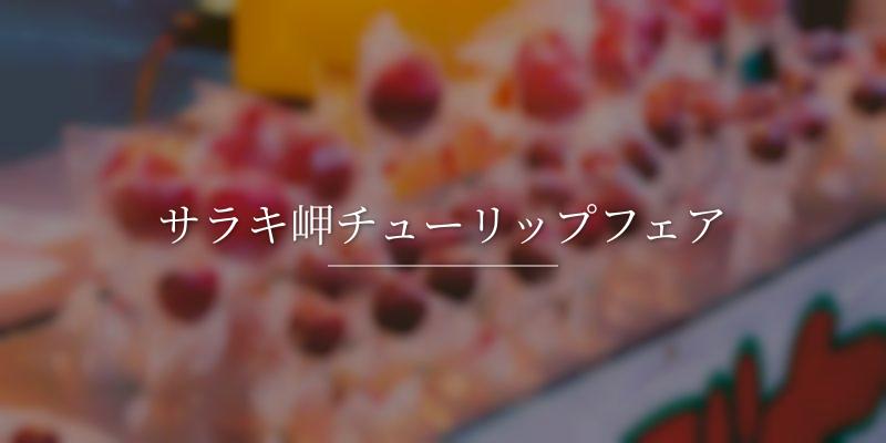 サラキ岬チューリップフェア