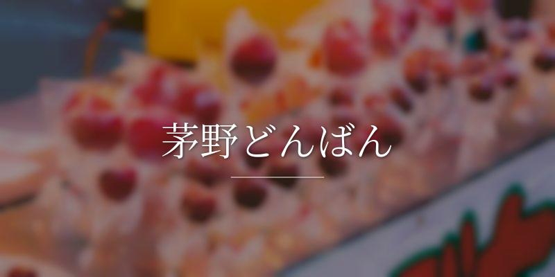 茅野どんばん
