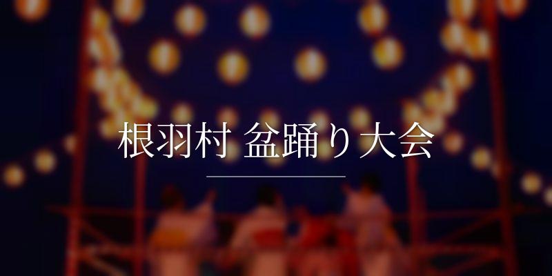 根羽村 盆踊り大会