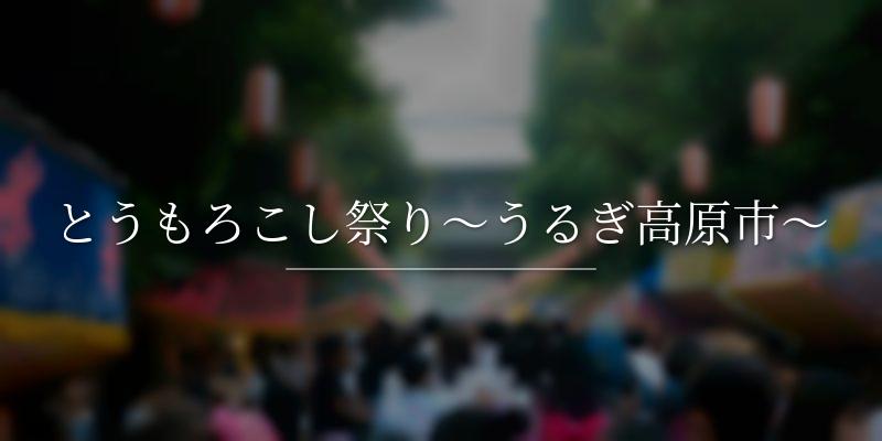 とうもろこし祭り～うるぎ高原市～