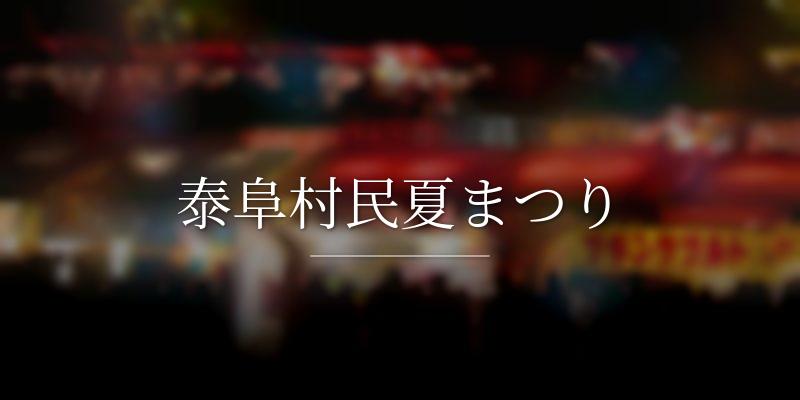 泰阜村民夏まつり