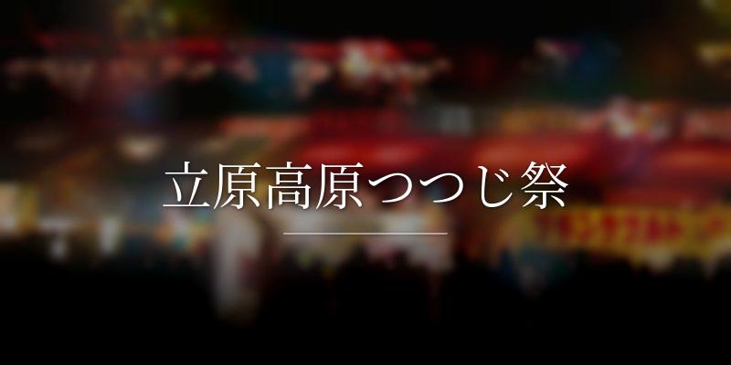 立原高原つつじ祭