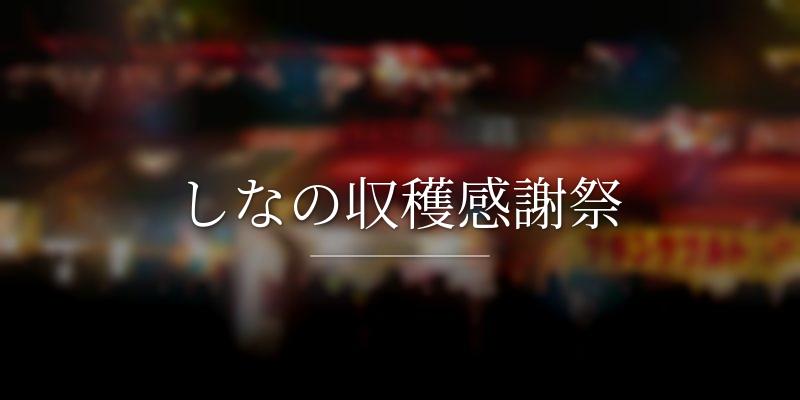 しなの収穫感謝祭