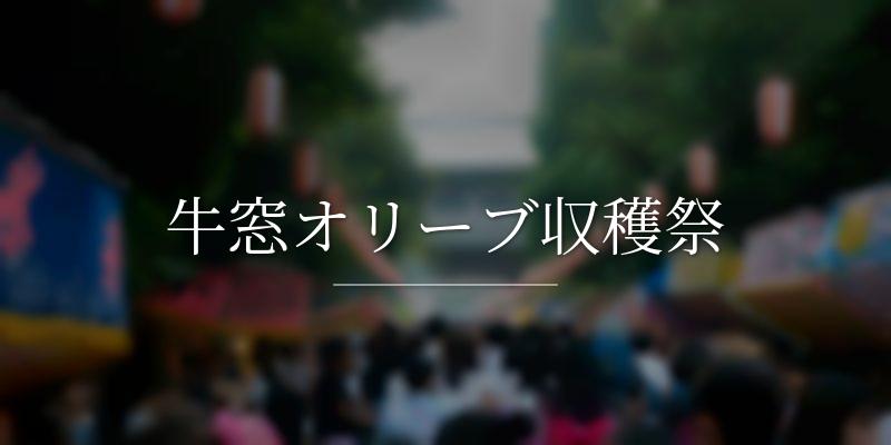 牛窓オリーブ収穫祭