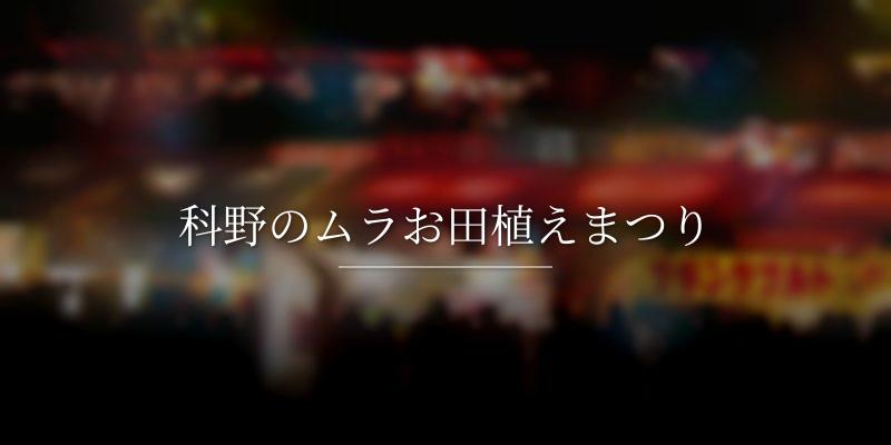 科野のムラお田植えまつり