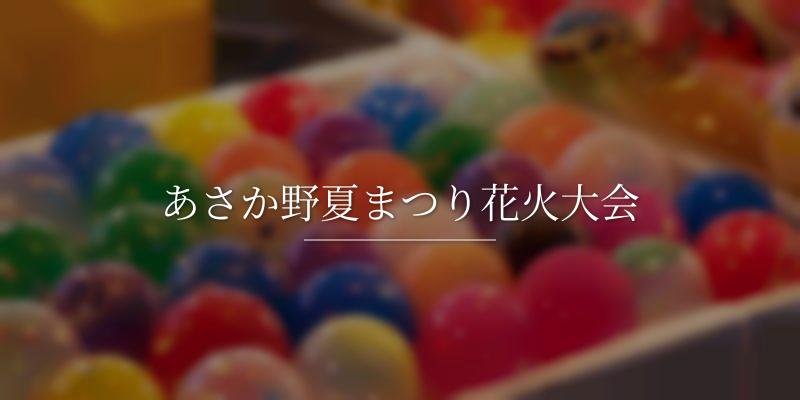 あさか野夏まつり花火大会