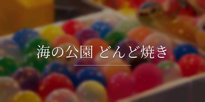 海の公園 どんど焼き