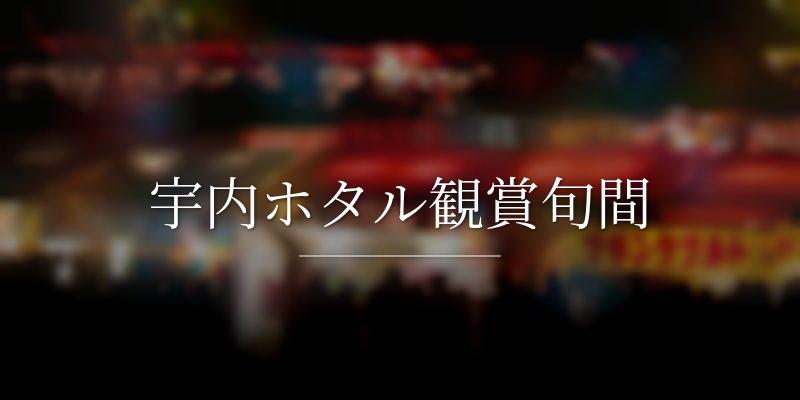 宇内ホタル観賞旬間