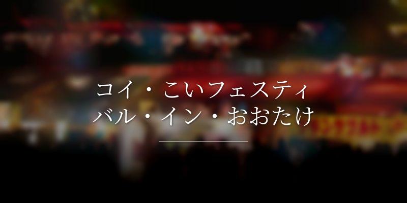 コイ・こいフェスティバル・イン・おおたけ