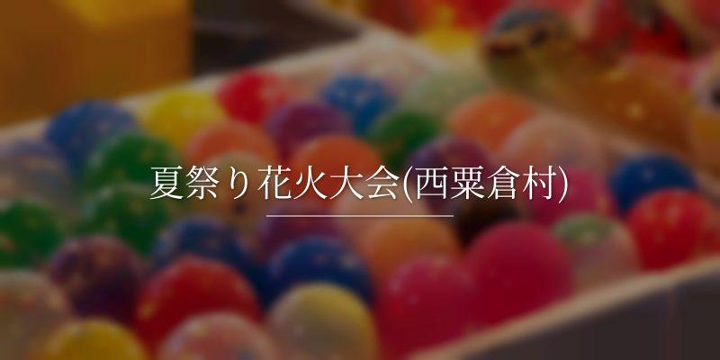 夏祭り花火大会(西粟倉村)