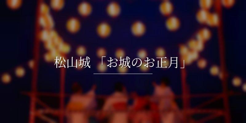 松山城 「お城のお正月」