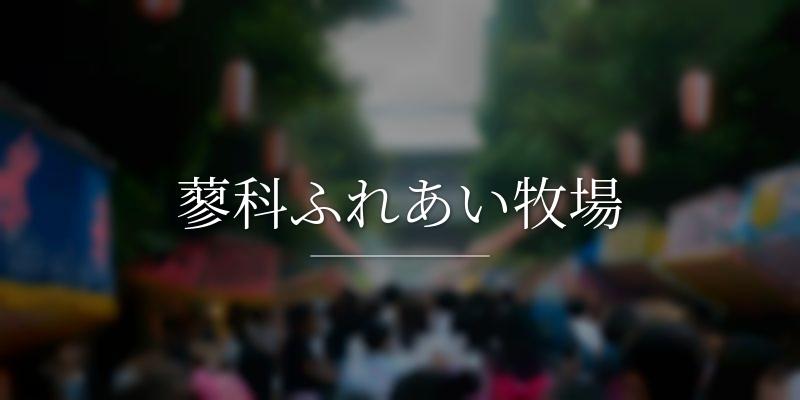 蓼科ふれあい牧場