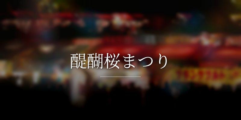 醍醐桜まつり