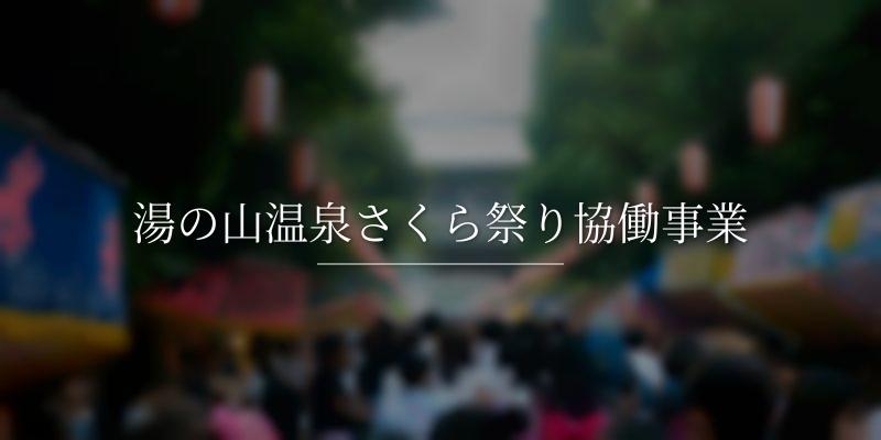 湯の山温泉さくら祭り協働事業