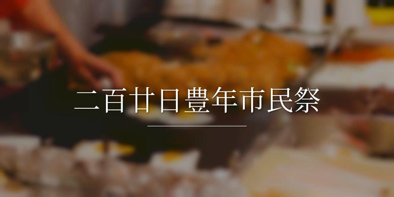 二百廿日豊年市民祭