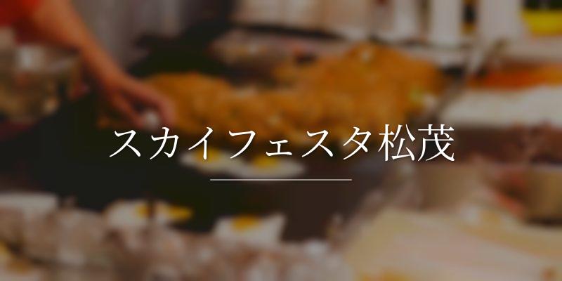 スカイフェスタ松茂の画像