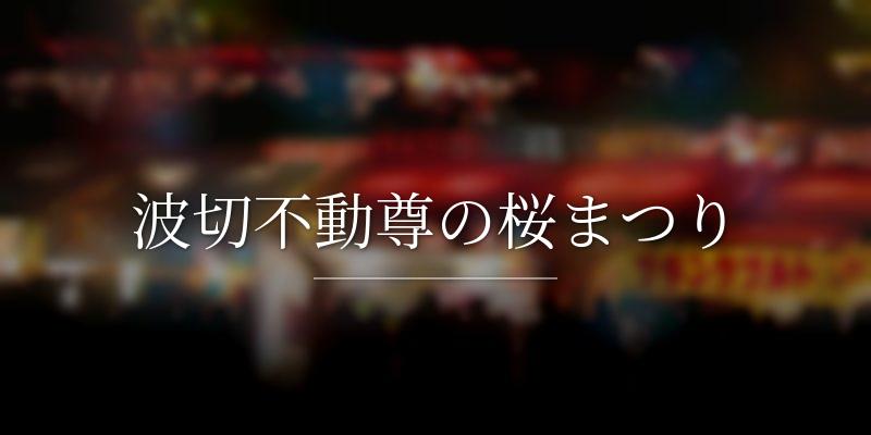 波切不動尊の桜まつり