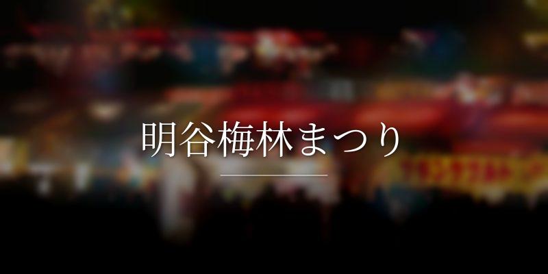 明谷梅林まつり