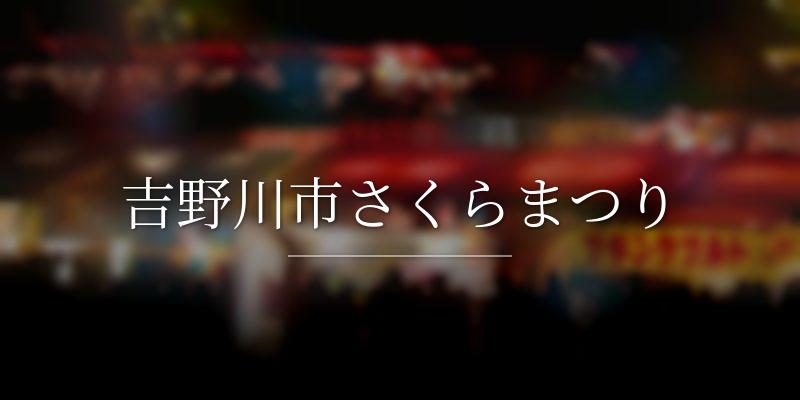吉野川市さくらまつり