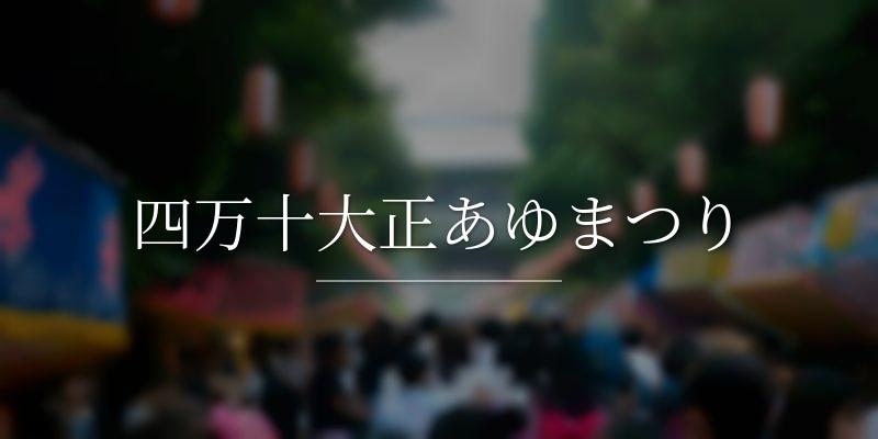 四万十大正あゆまつり