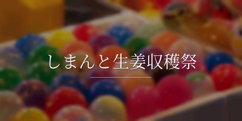 しまんと生姜収穫祭