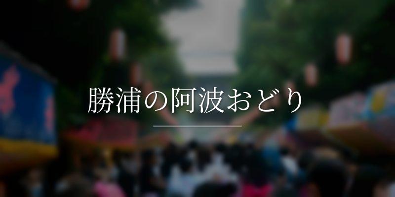 勝浦の阿波おどり