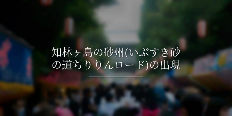 知林ヶ島の砂州(いぶすき砂の道ちりりんロード)の出現