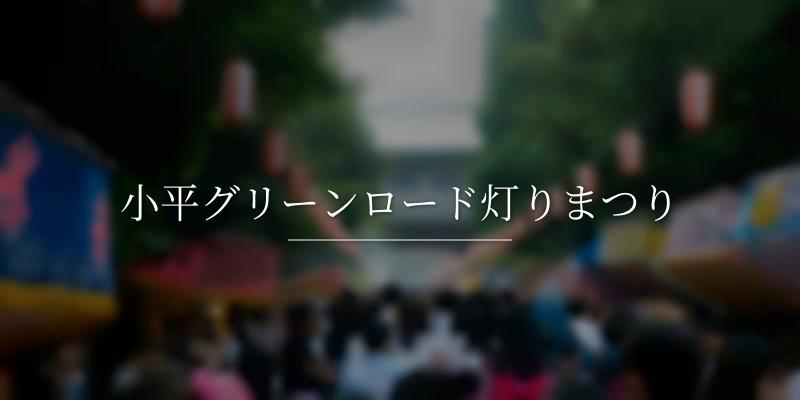 小平グリーンロード灯りまつり