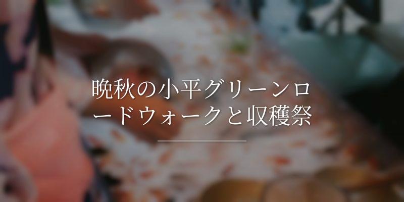 晩秋の小平グリーンロードウォークと収穫祭