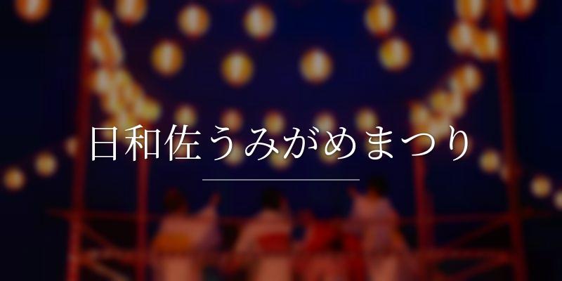 日和佐うみがめまつり
