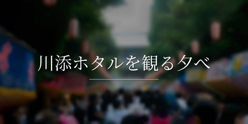 川添ホタルを観る夕べ