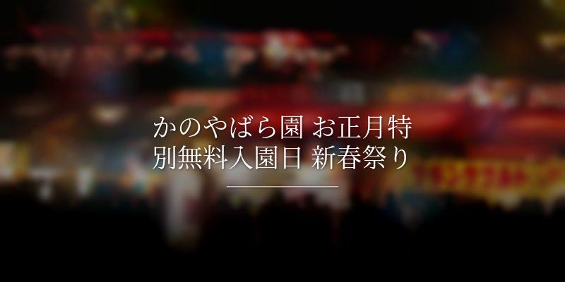 かのやばら園 お正月特別無料入園日 新春祭り