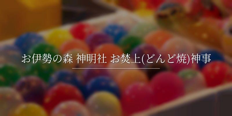お伊勢の森 神明社 お焚上(どんど焼)神事